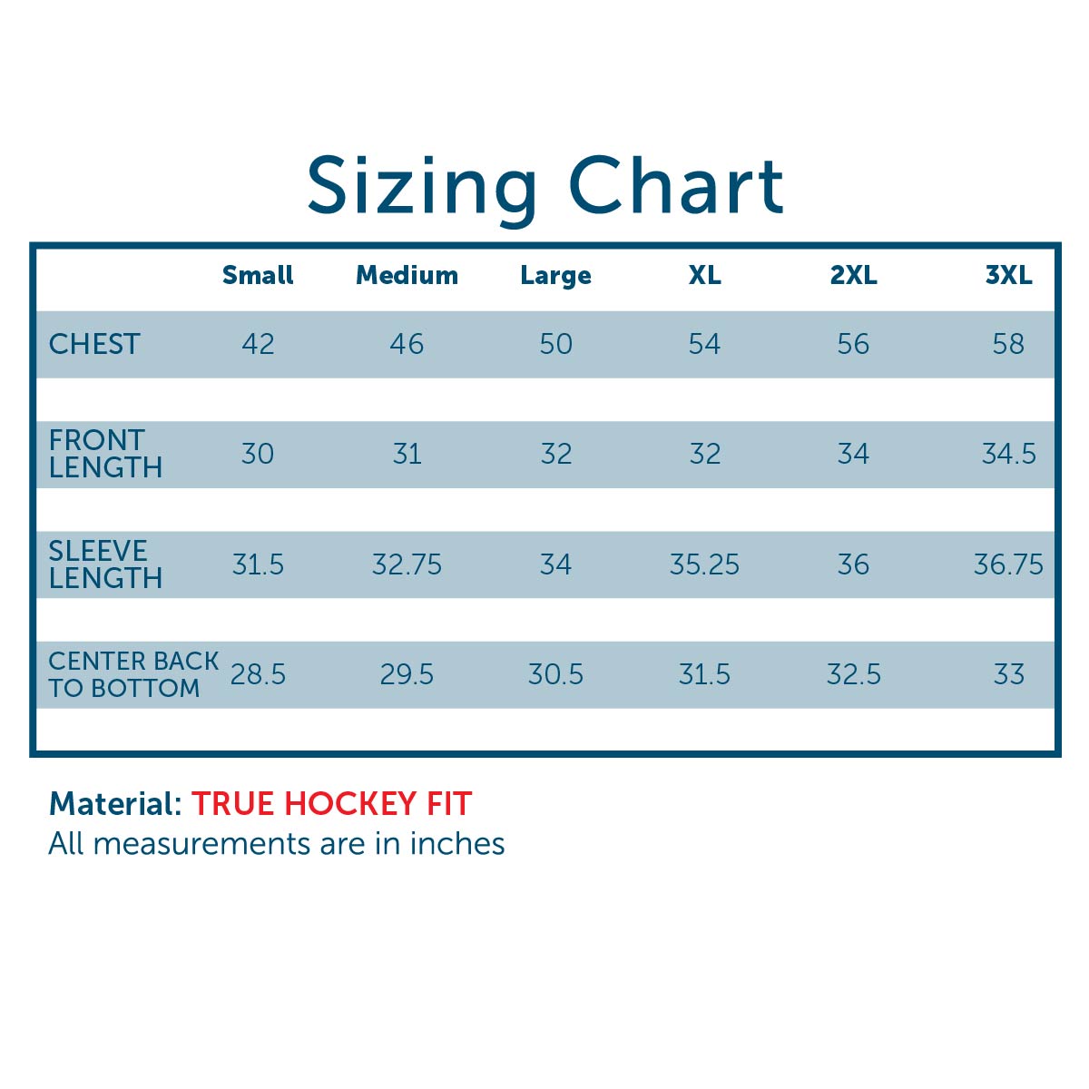 Phi Psi Sublimated Hockey Jersey