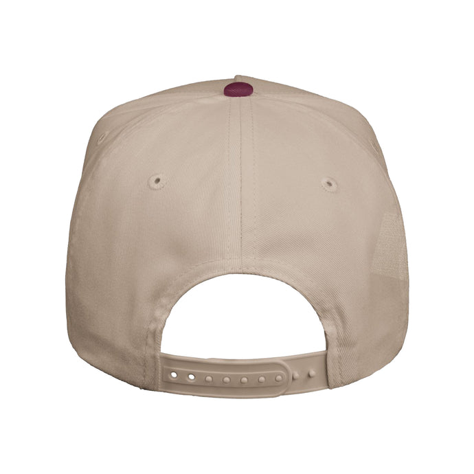 Phi Psi Two Tone Hat